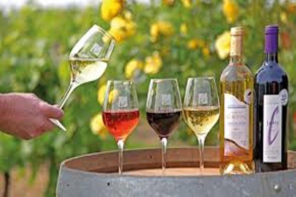Le Mas De Doat, Gite De Charme 4 Etoiles Dans Le Triangle D Or Proche Gaillac Et Albi Senouillac 外观 照片